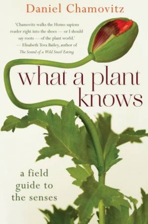 What a Plant Knows by Daniel Chamowitz