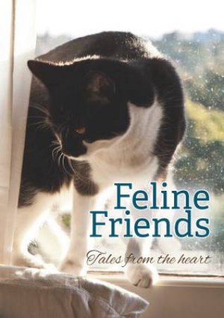 Feline Friends by Various