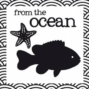 Crinkly Book of Aussie Animals: From the Ocean by Jill Brailsford