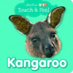 Touch  Feel Kangaroo