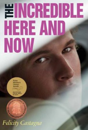 The Incredible Here And Now by Felicity Castagna