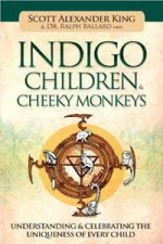 Indigo Children  Cheeky Monkey