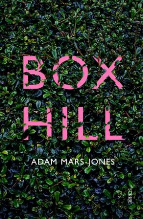 Box Hill by Adam Mars-Jones