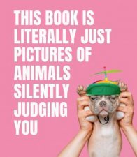 This Book Is Literally Just Pictures Of Animals Silently Judging You