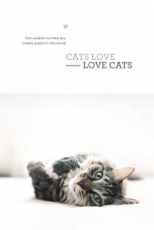 CAT'S LOVE  For the love of the cat