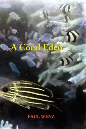 A Coral Eden by Paul Wenz