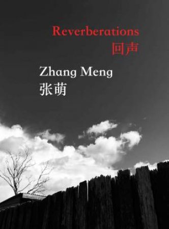 Reverberations by Zhang Meng