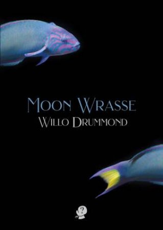 Moon Wrasse by Willo Drummond