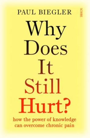 Why Does It Still Hurt? by Paul Biegler