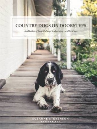 Country Dogs on Doorsteps by Suzanne Stevenson