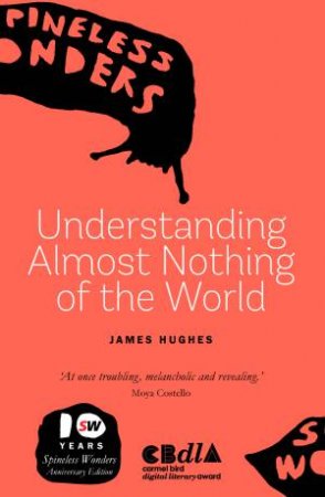 Understanding Almost Nothing of the World by James Hughes