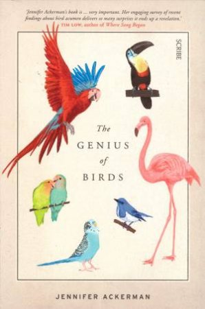 the genius of birds ackerman