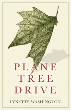 Plane Tree Drive by Lynette Washington