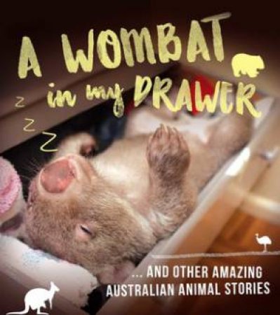 A Wombat In My Drawer And Other Amazing Animal Stories by Ros Almond