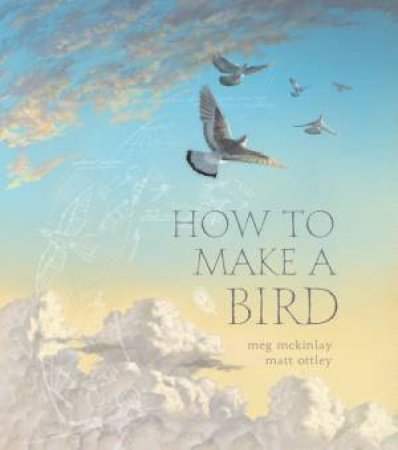 How To Make A Bird by Meg McKinlay & Matt Ottley