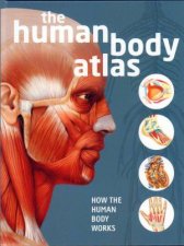 Human Body Atlas How The Human Body Works