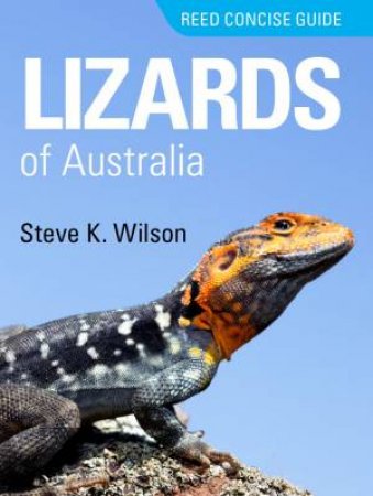 Reed Concise Guide - Lizards Of Australia by Wilson Steve