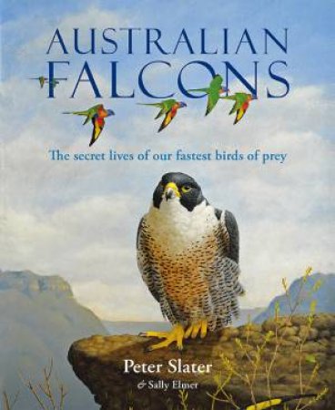 Australian Falcons by Sally Elmer