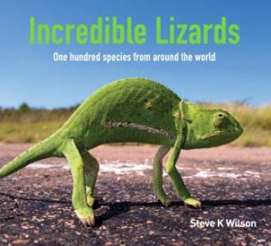 Incredible Lizards: One Hundred Species From Around The World by Steve Wilson