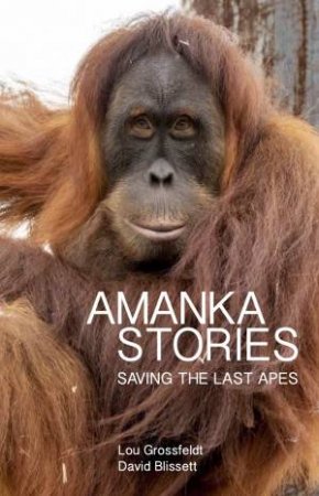 Amanka Stories: Saving The Last Apes by Lou Grossfeldt & Dave Blissett