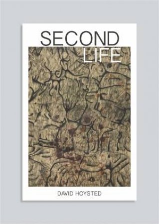 Second Life by David Hoysted