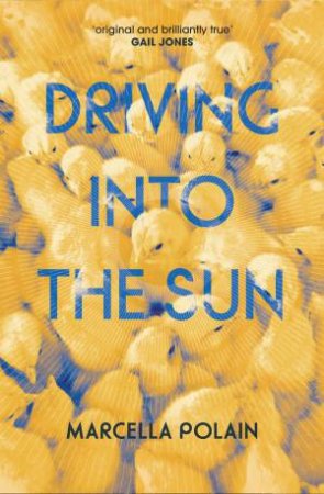 Driving Into The Sun by Marcella Polain