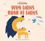 Why Lions Roar At Lions