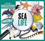 Australian Geographic Discover Sea Life