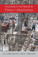 Challenges in the Process of Chinas Urbanization