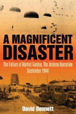 Magnificent Disaster by BENNETT DAVID