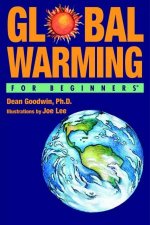 Global Warming For Beginners