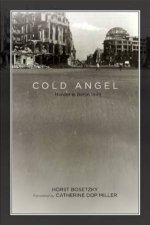 Cold Angel Murder in Berlin 1949