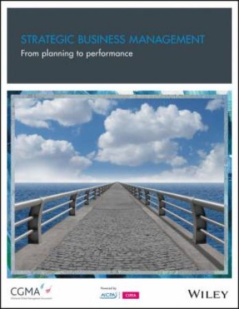 Strategic Business Management: From Planning To Performance by Gary Cokins