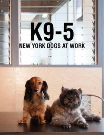 K9-5: New York Dogs at Work by MICHELLE ROSE