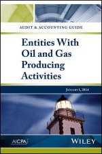 Audit and Accounting Guide Entities With Oil And Gas Producing Activities