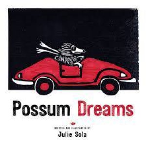 Possum Dreams by Julie Sola