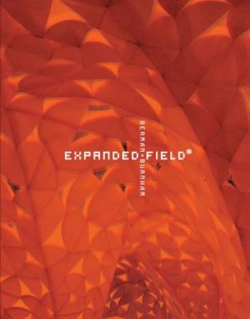 Expanded Field: Installation Architecture beyond Art by BERMAN /  KUDLESS