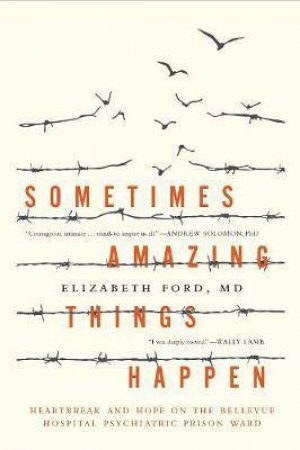 Sometimes Amazing Things Happen by Elizabeth Ford