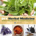 DoItYourself Herbal Medicine