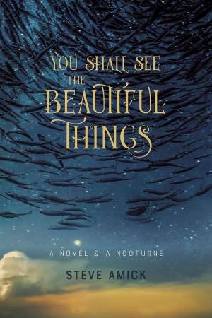 You Shall See the Beautiful Things by Steve Amick