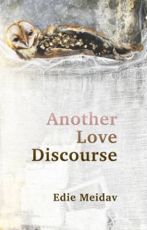 Another Love Discourse by Edie Meidav