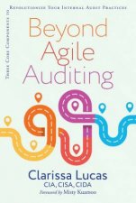 Beyond Agile Auditing