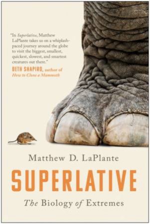 Superlative by Matthew D. LaPlante