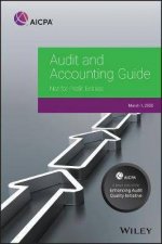 Audit And Accounting Guide