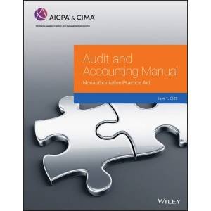 Audit And Accounting Manual by Various