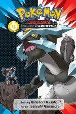 Pokmon Adventures Black 2  White 2 04