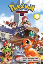 Pokmon Adventures XY 01