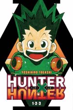 Hunter x Hunter 3in1 Edition 01