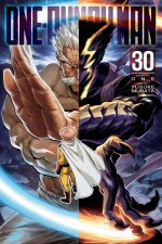 OnePunch Man Vol 30