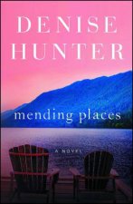 Mending Places A Novel